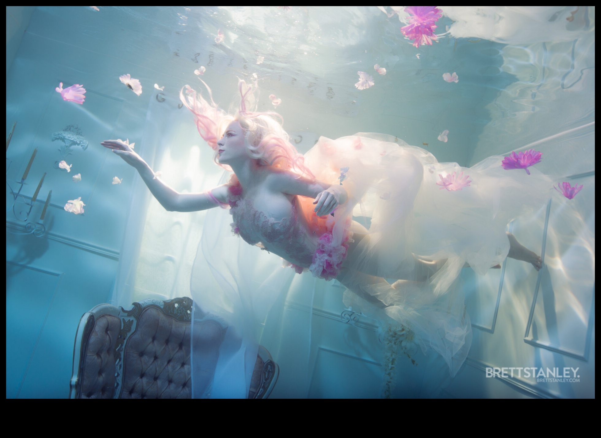 צילום תת מימי בעצמך: לכידת העולם התת-מימי