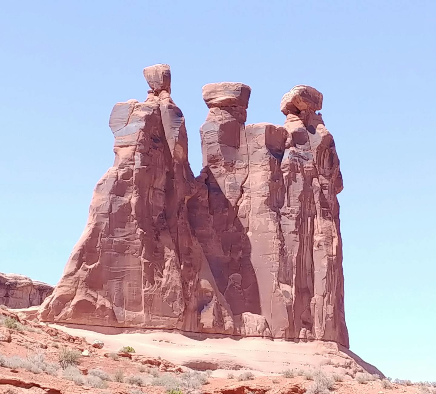 קעקוע של פרח בסגנון ריאליסטי.