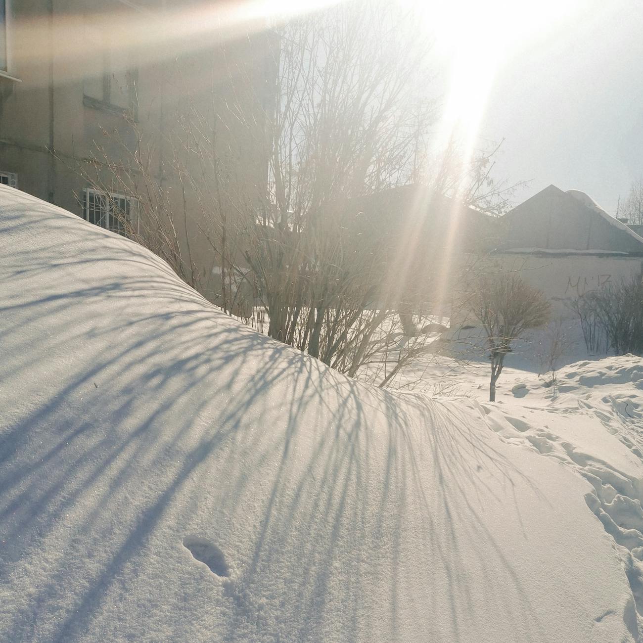 קעקוע של דרקון בסגנון ריאליסטי.
