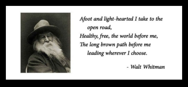 Roaring Roadsters: מכוניות ספורט והפיתוי של הפלגות באוויר הפתוח