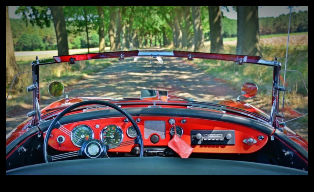 Vintage Elegance המשיכה הנצחית של מכוניות קלאסיות 3 אלגנטיות וינטג': הפיתוי המתמשך של מכוניות קלאסיות