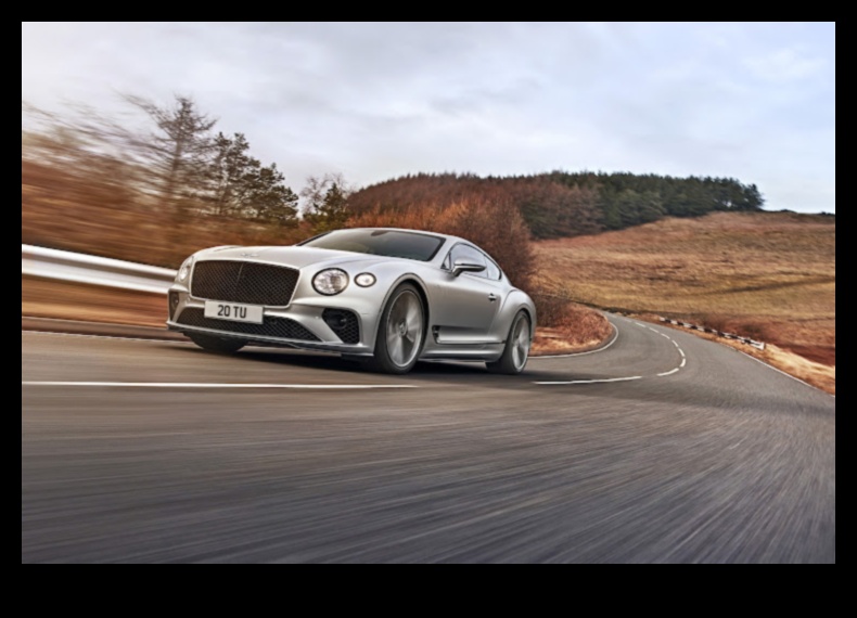 מצוינות חובקת כבישים: הדינמיקה של טיפול במכוניות ספורט