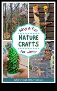 מלאכת יד ביער חורף: פרויקטי עשה זאת בעצמך בהשראת יערות כפור