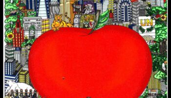 ג'ונגל קוטור בטון: קסם בסגנון סטריט שחרר