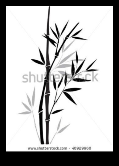 היופי שבדיו: יצירת רישומים אלגנטיים ונצחיים